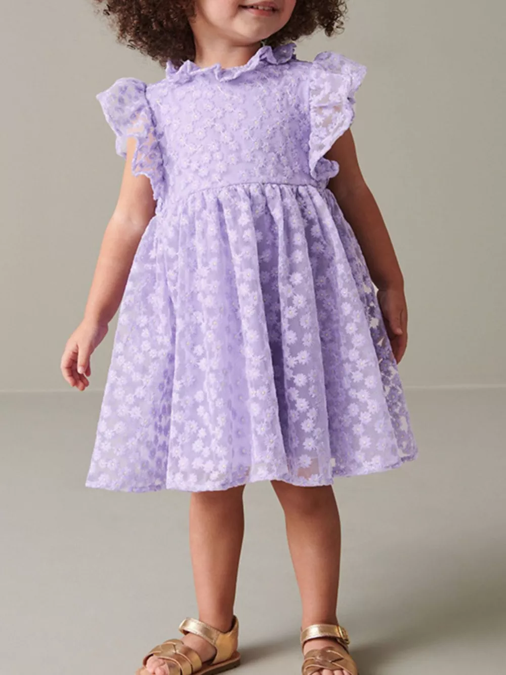 Children's Floral Lace Ruffle Sleeve Party Dress