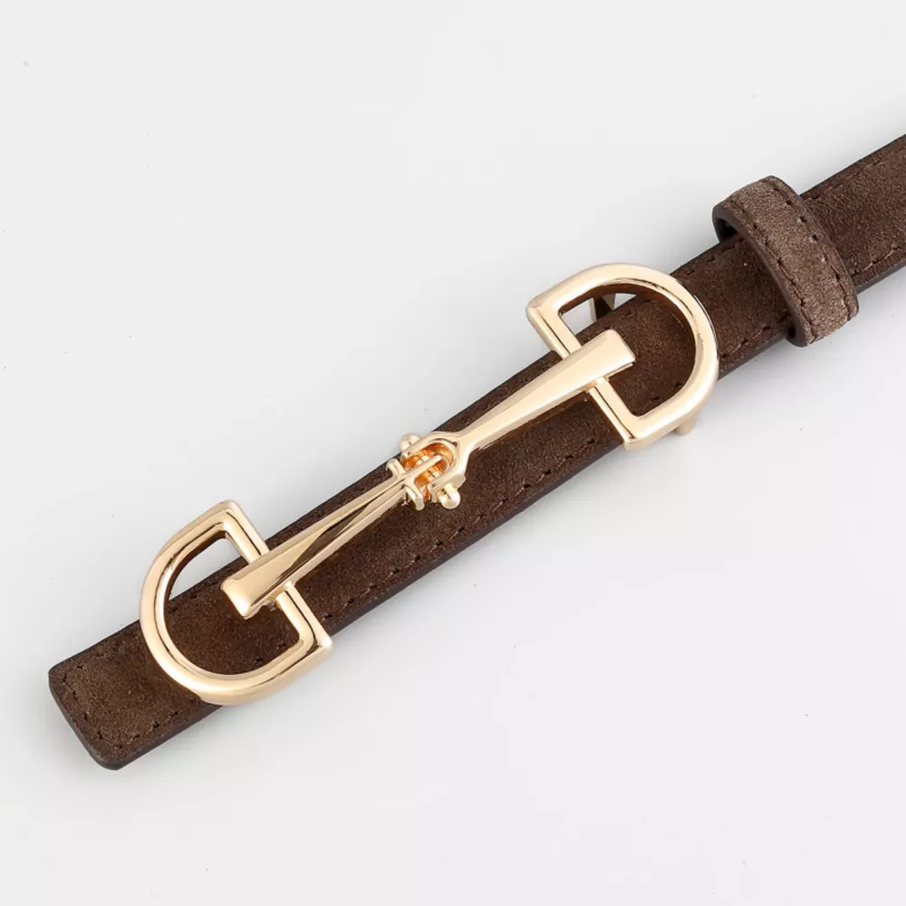 Golden Buckle Belt, image 5