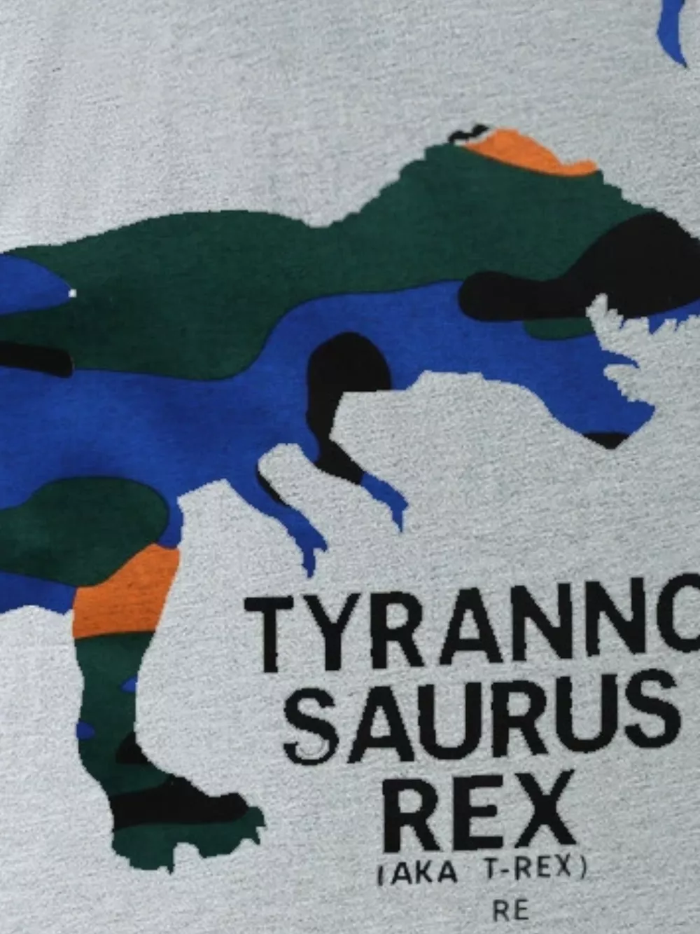 Children's Dinosaur Graphic Round Neck T-Shirt, image 3