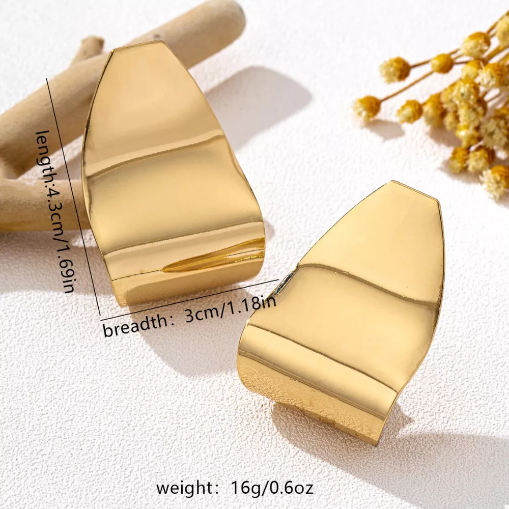 Alloy Geometric Earrings, image 5