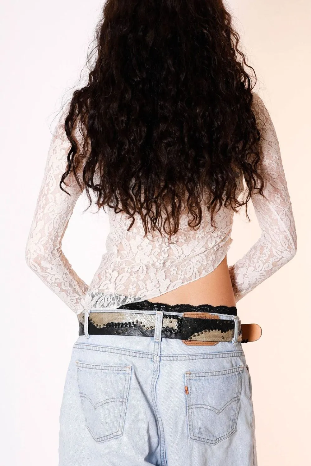 Lace Long Sleeve Sheer Crop Top, image 4