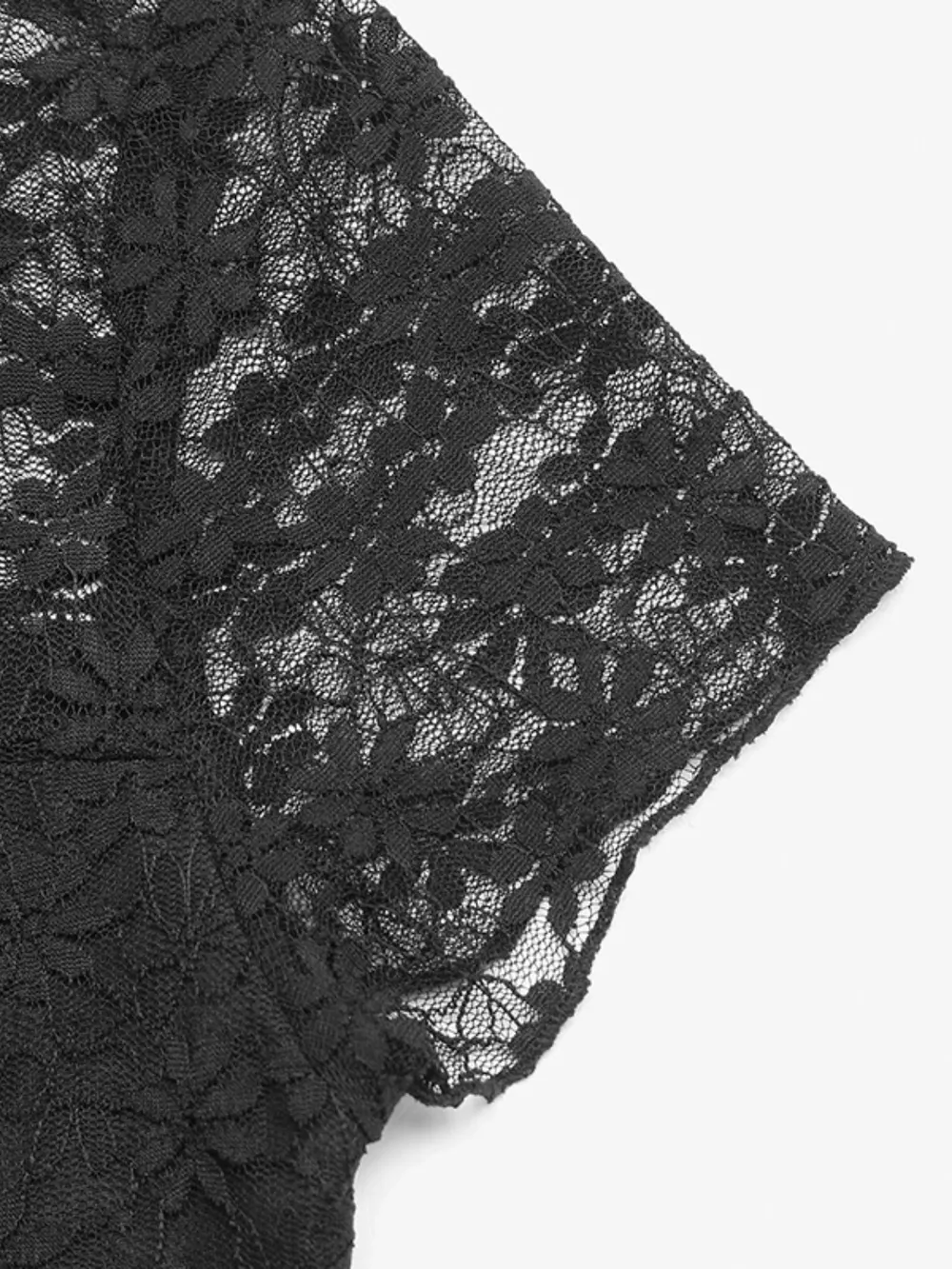 Lace Round Neck Short Sleeve Top, image 5