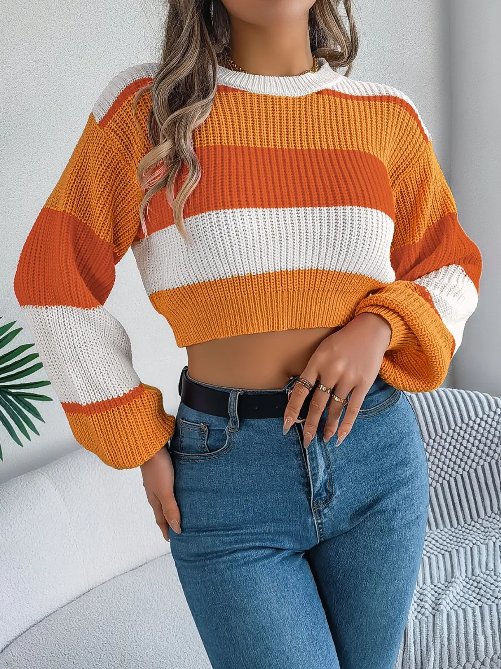 Color Block Round Neck Cropped Sweater, image 2