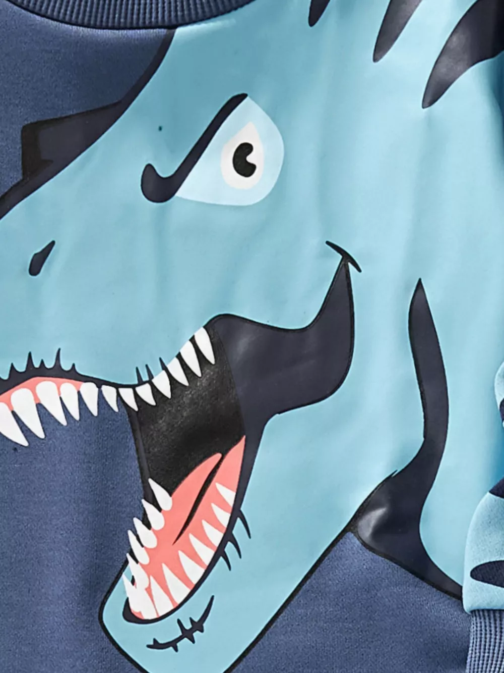 Children's Dinosaur Print Long Sleeve Sweatshirt & Pants Set, image 4
