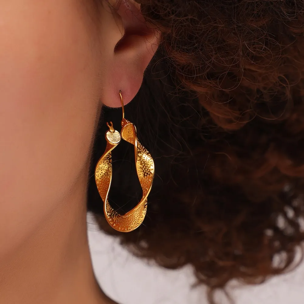 Titanium Steel Twisted Earrings, image 2