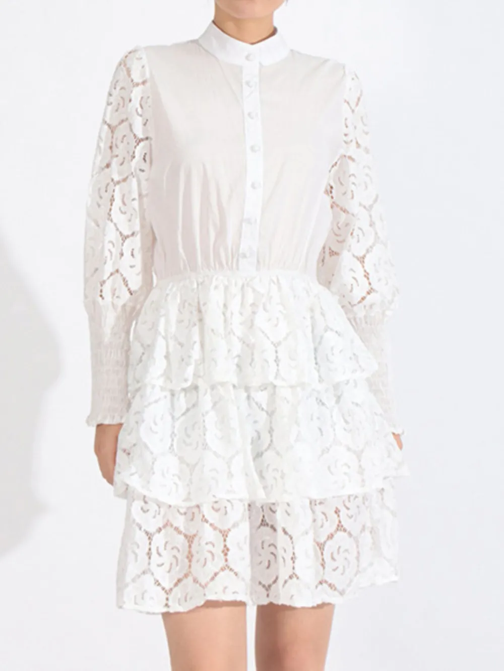 Full Size Lace Layered Long Sleeve Dress Plus Size, image 3