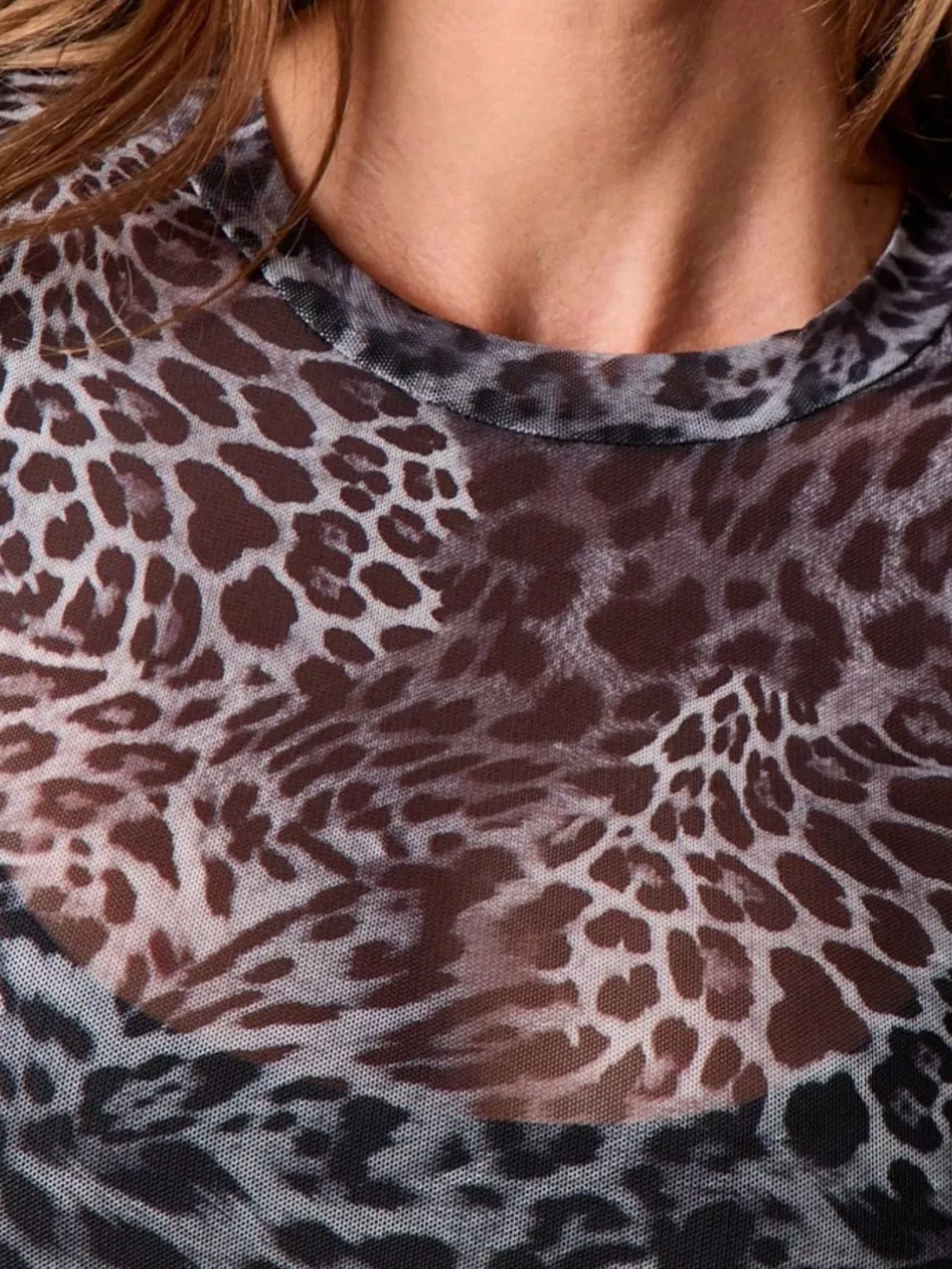 Sheer Leopard Print Long Sleeve Top, image 2