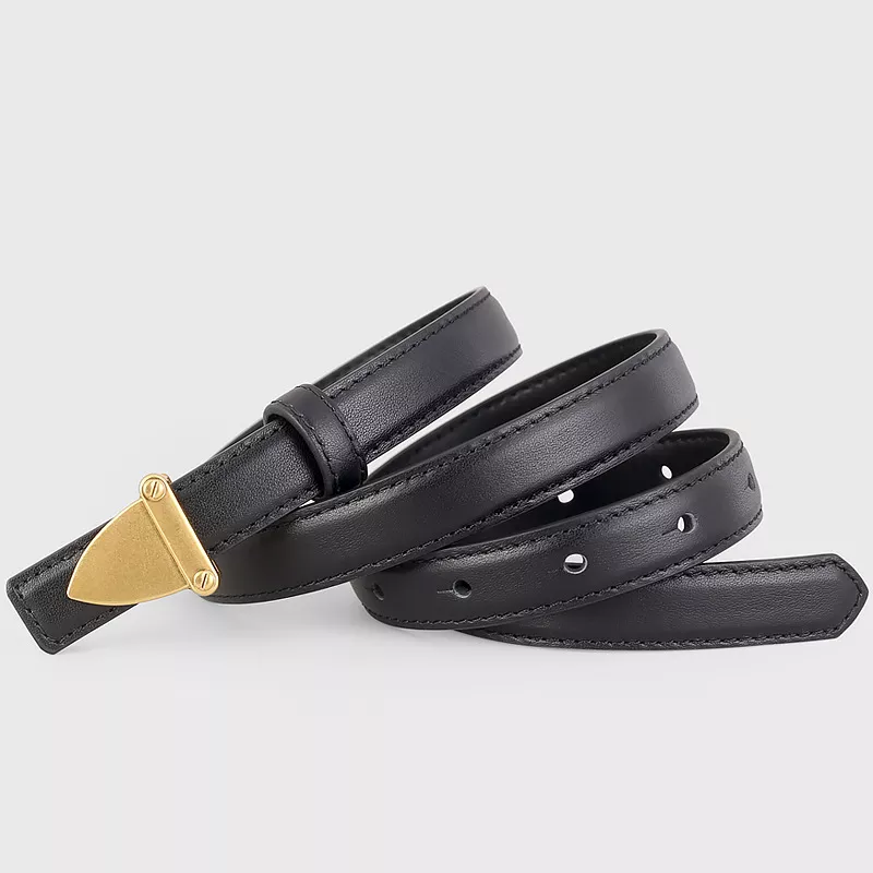 Leather Belt with Golden Buckle