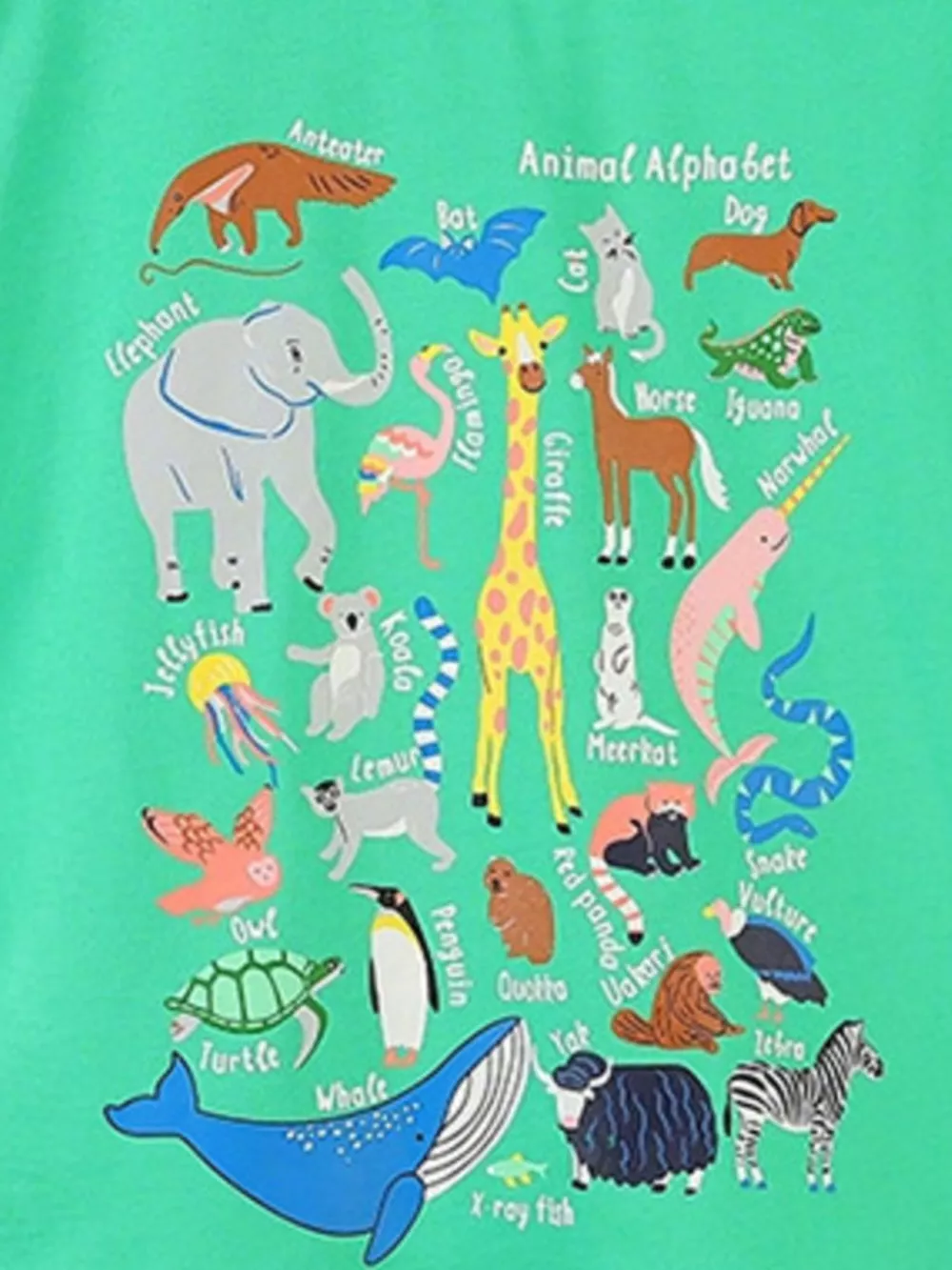Children's Animal Alphabet Print Short Sleeve T-Shirt, image 4