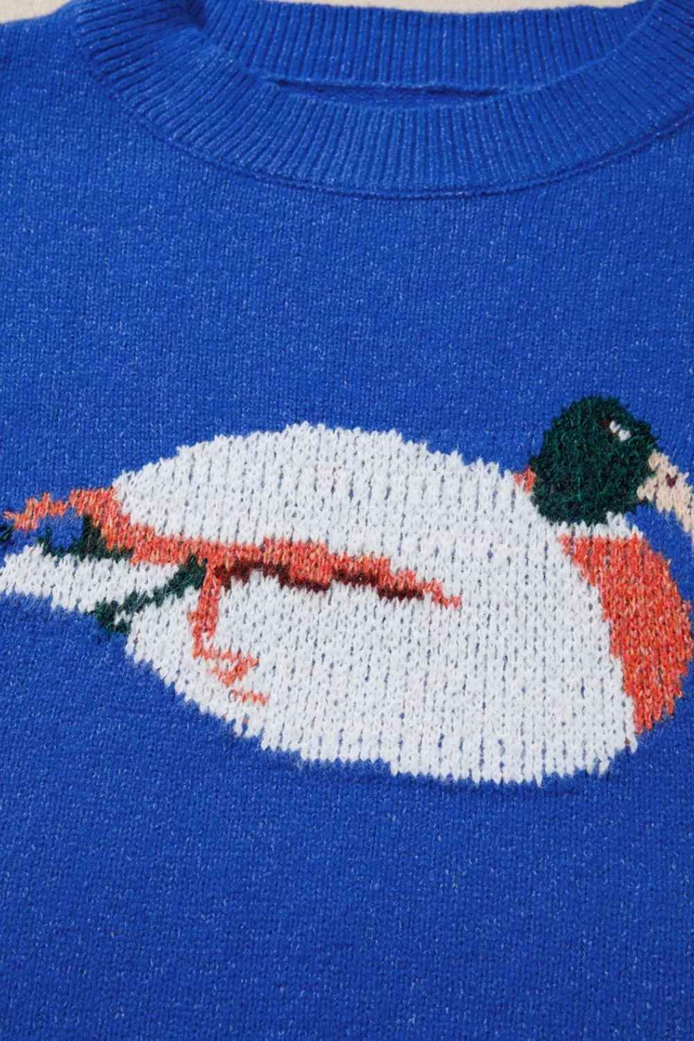 Duck Graphic Drop Shoulder Long Sleeve Sweater, image 12