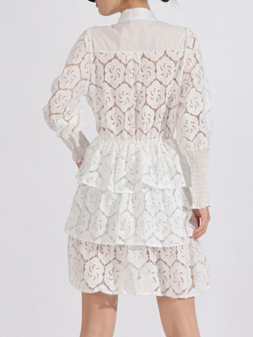 Full Size Lace Layered Long Sleeve Dress Plus Size, image 5