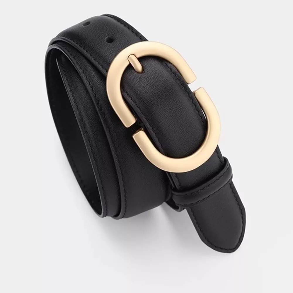 Gold Buckle Leather Belt, image 6