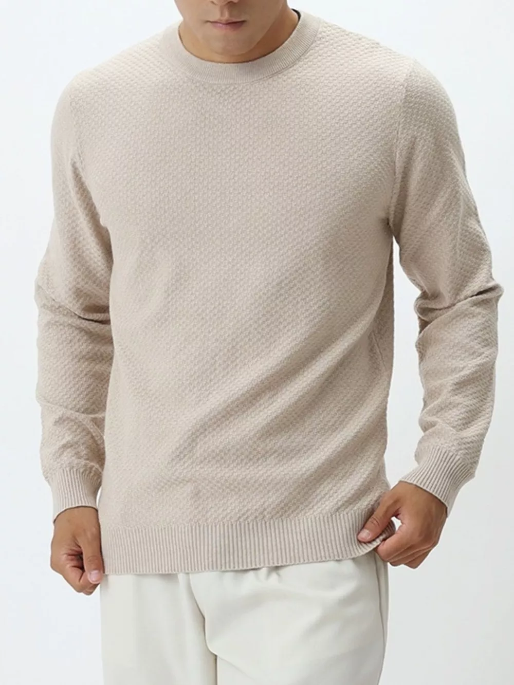 Men's Plus Size Textured Crew Neck Sweater