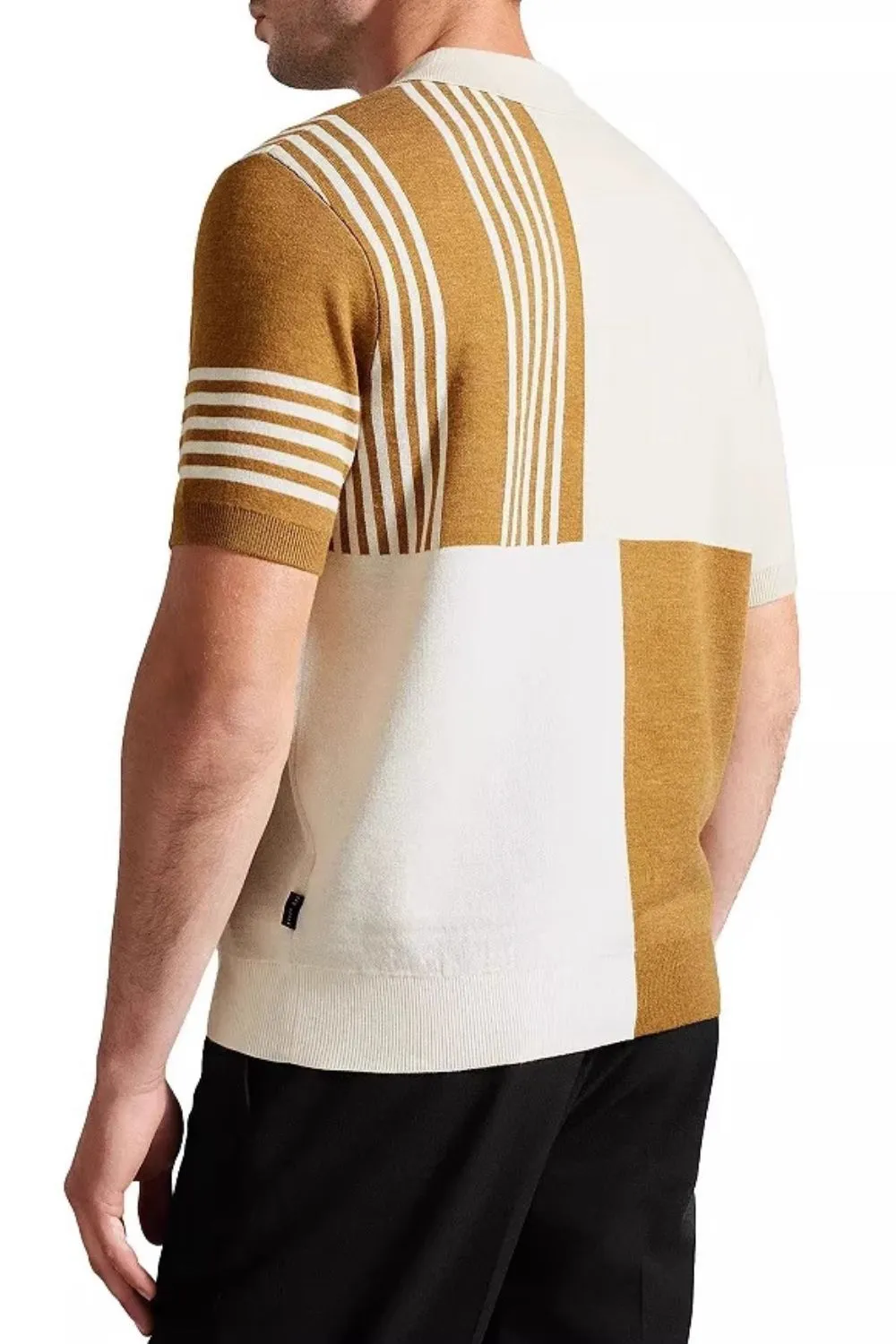 Men's Plus Size Color Block Short Sleeve Polo, image 3