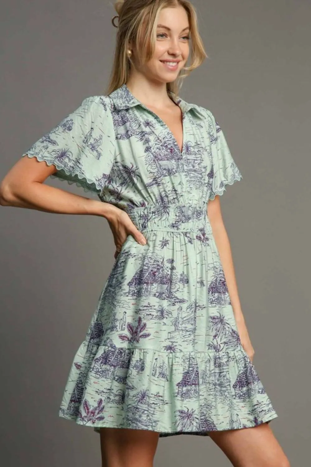 Full Size Landscape Print Collared Mini Dress Plus Size