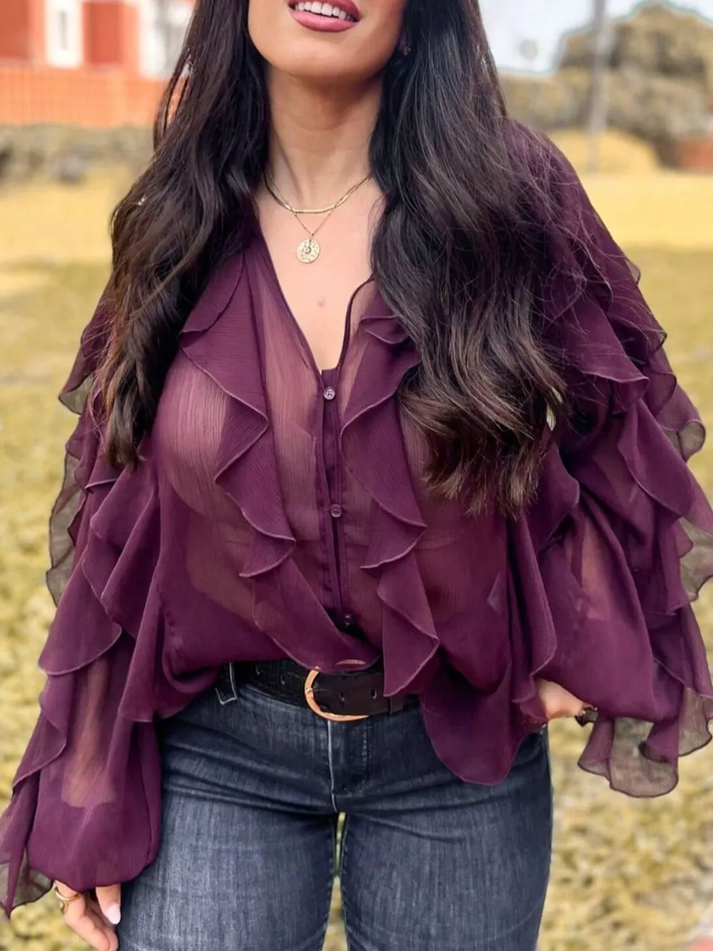 Ruffled Sheer Long Sleeve Blouse, image 17