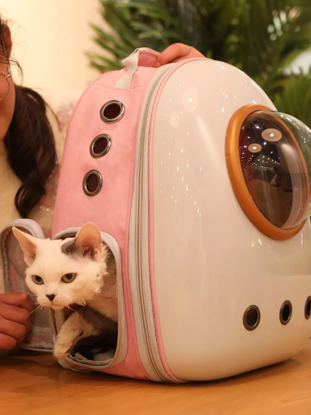 Space Capsule Transparent Pet Carrier Backpack, image 3
