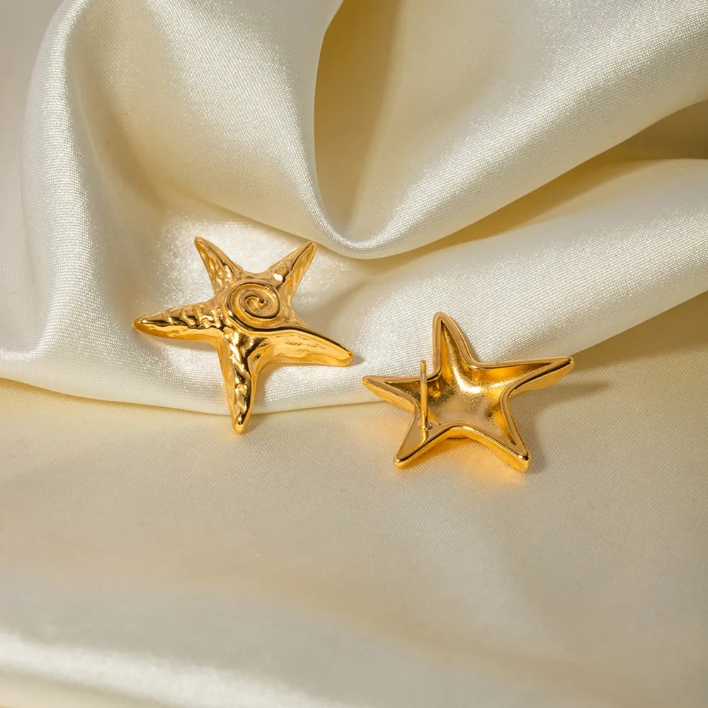 Stainless Steel Star Shape Earrings, image 2