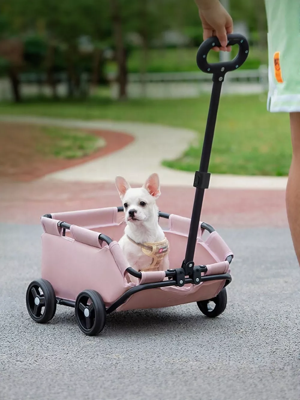 Portable Folding Pet Stroller Wagon, image 2