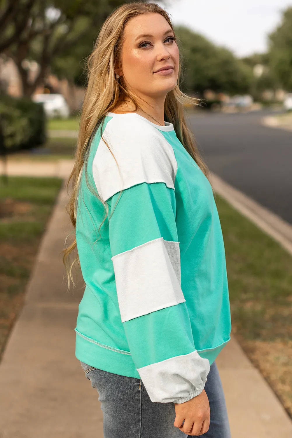 Plus Size Exposed Seam Color Block Long Sleeve Sweatshirt, image 6