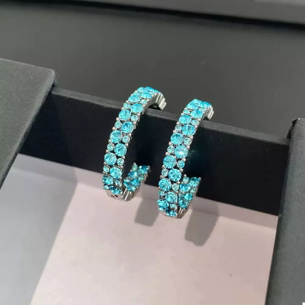 Sparkling C-Hoop Earrings, image 3