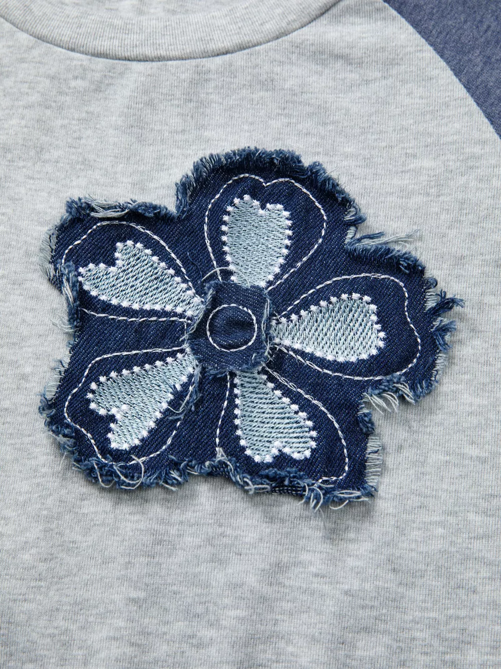 Color Block Flower Embroidered Patch Graphic Raglan Long Sleeve Top, image 7