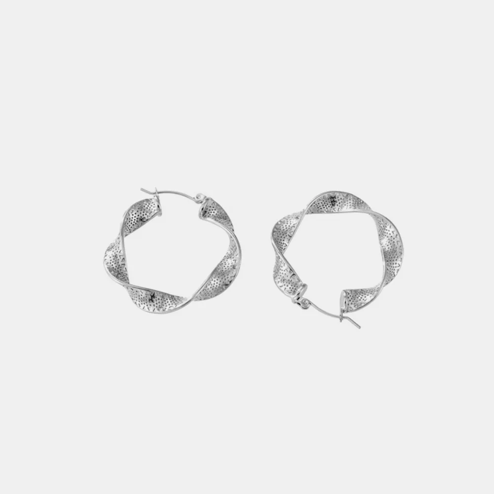 Titanium Steel Twisted Earrings, image 8