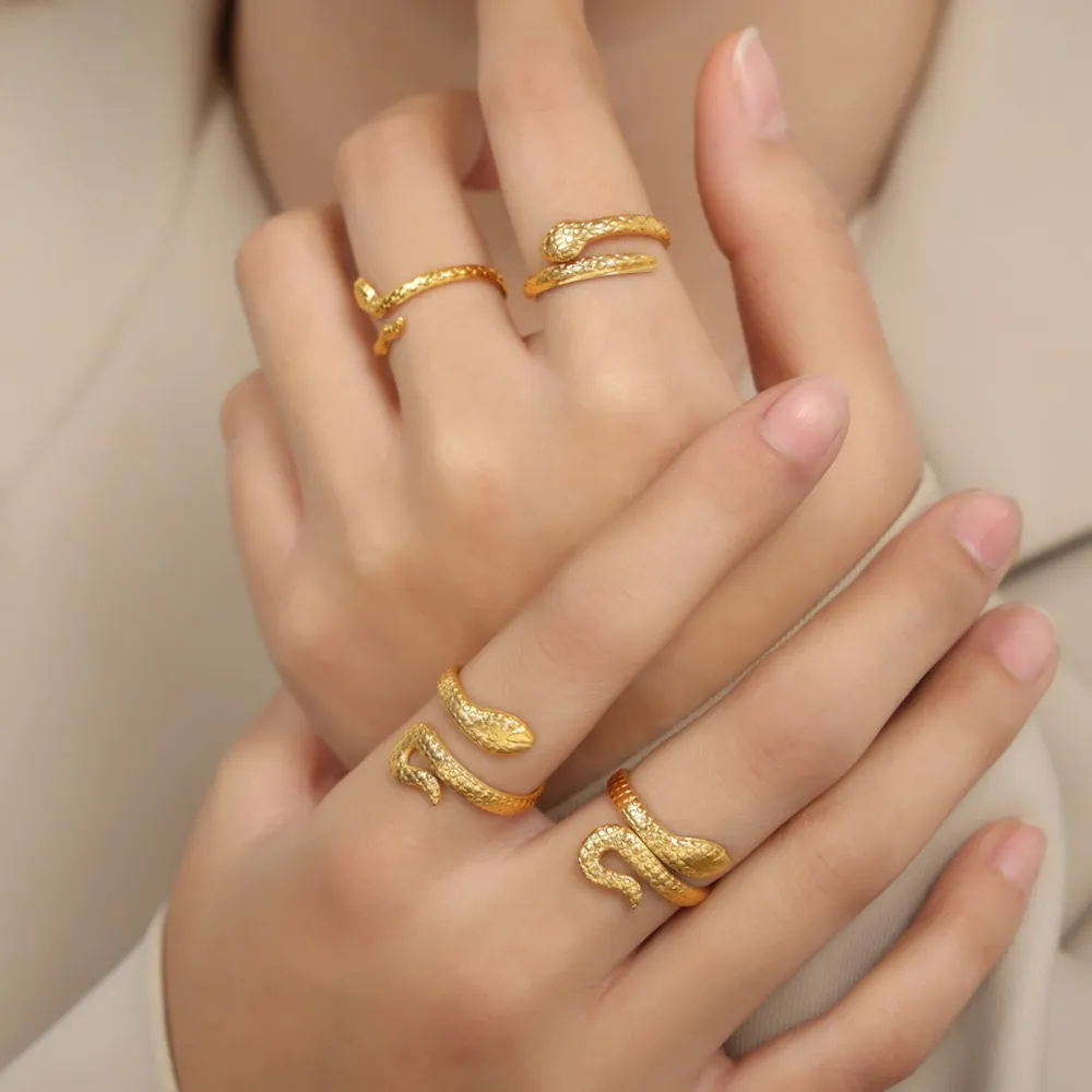 Titanium Steel Snake Shape Bypass Ring, image 2