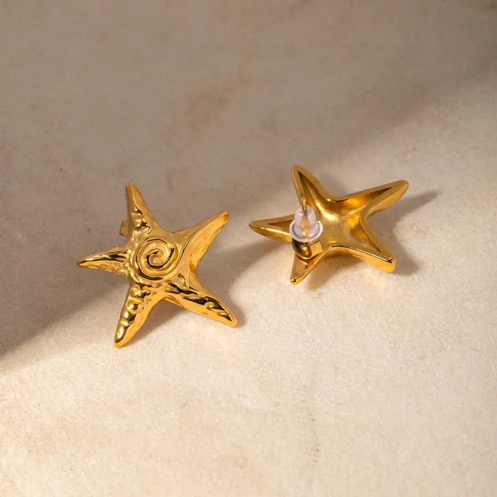 Stainless Steel Star Shape Earrings, image 5