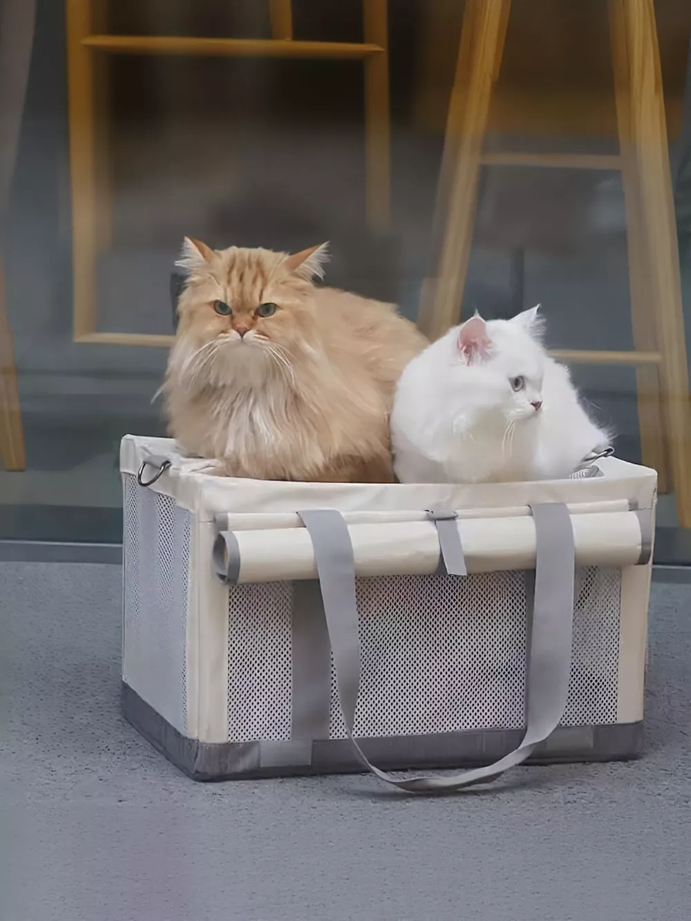 Portable Breathable Pet Carrier Bag, image 2