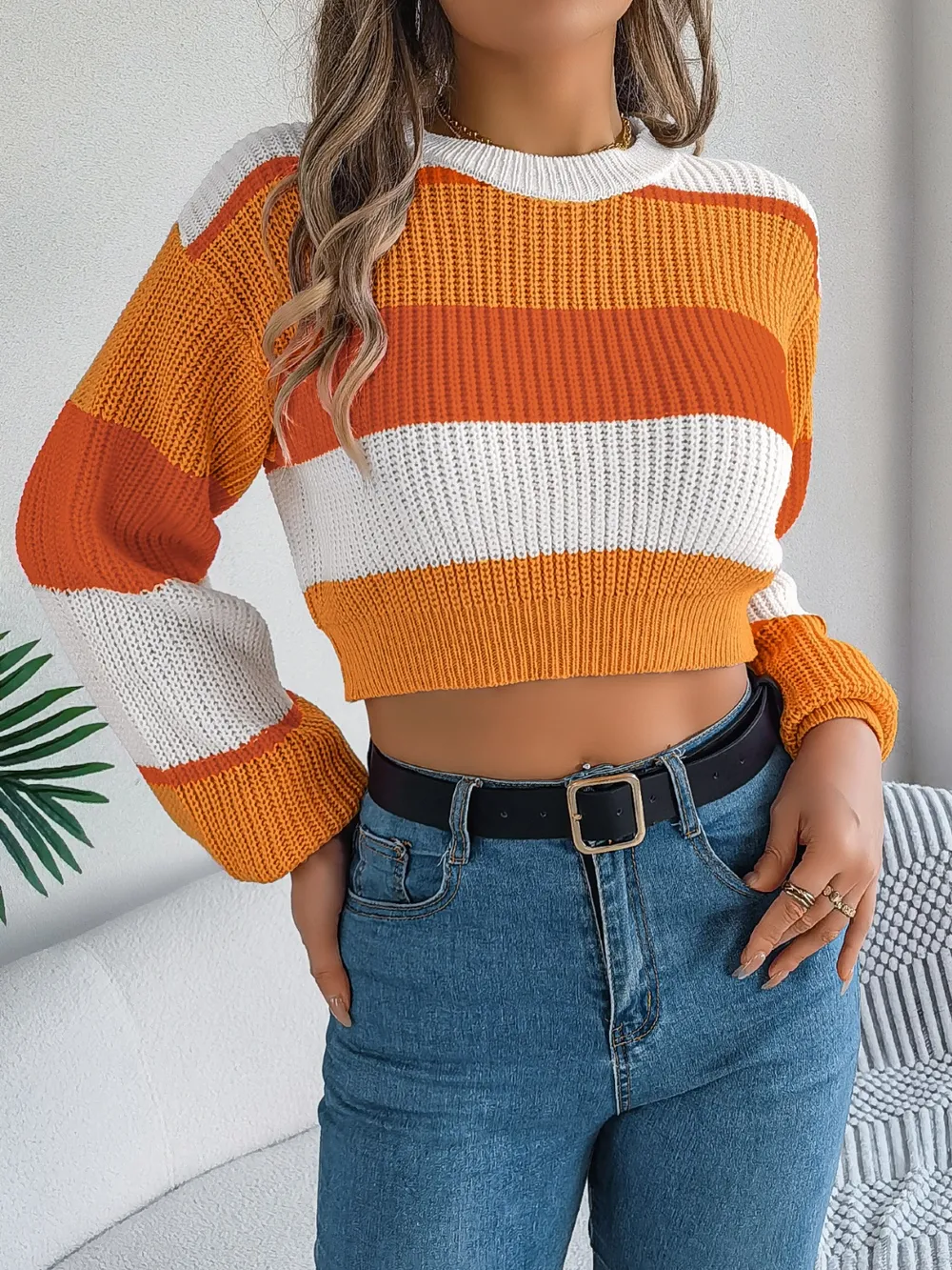 Color Block Round Neck Cropped Sweater, image 6