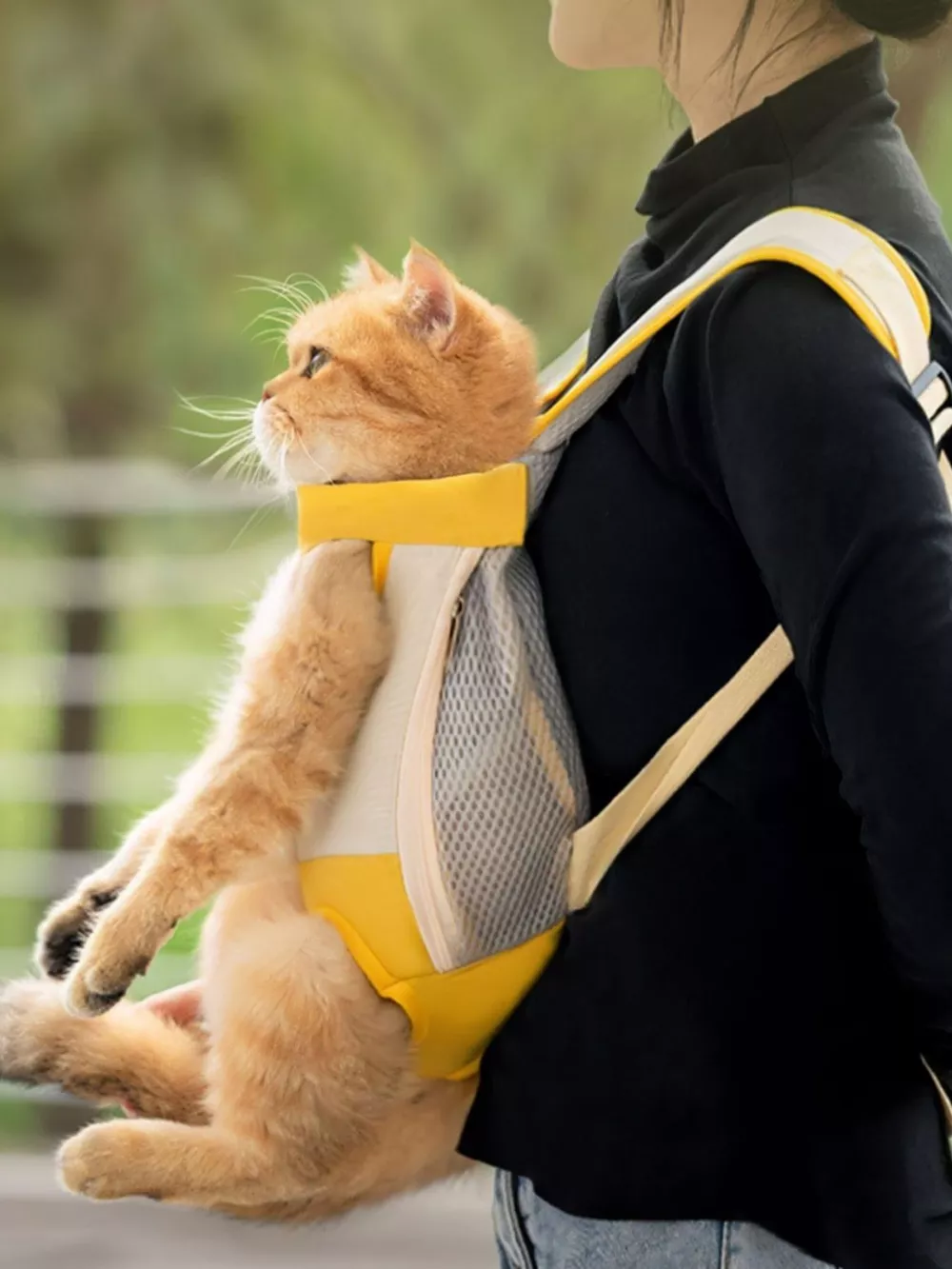 Breathable Pet Carrier Front Pack, image 3