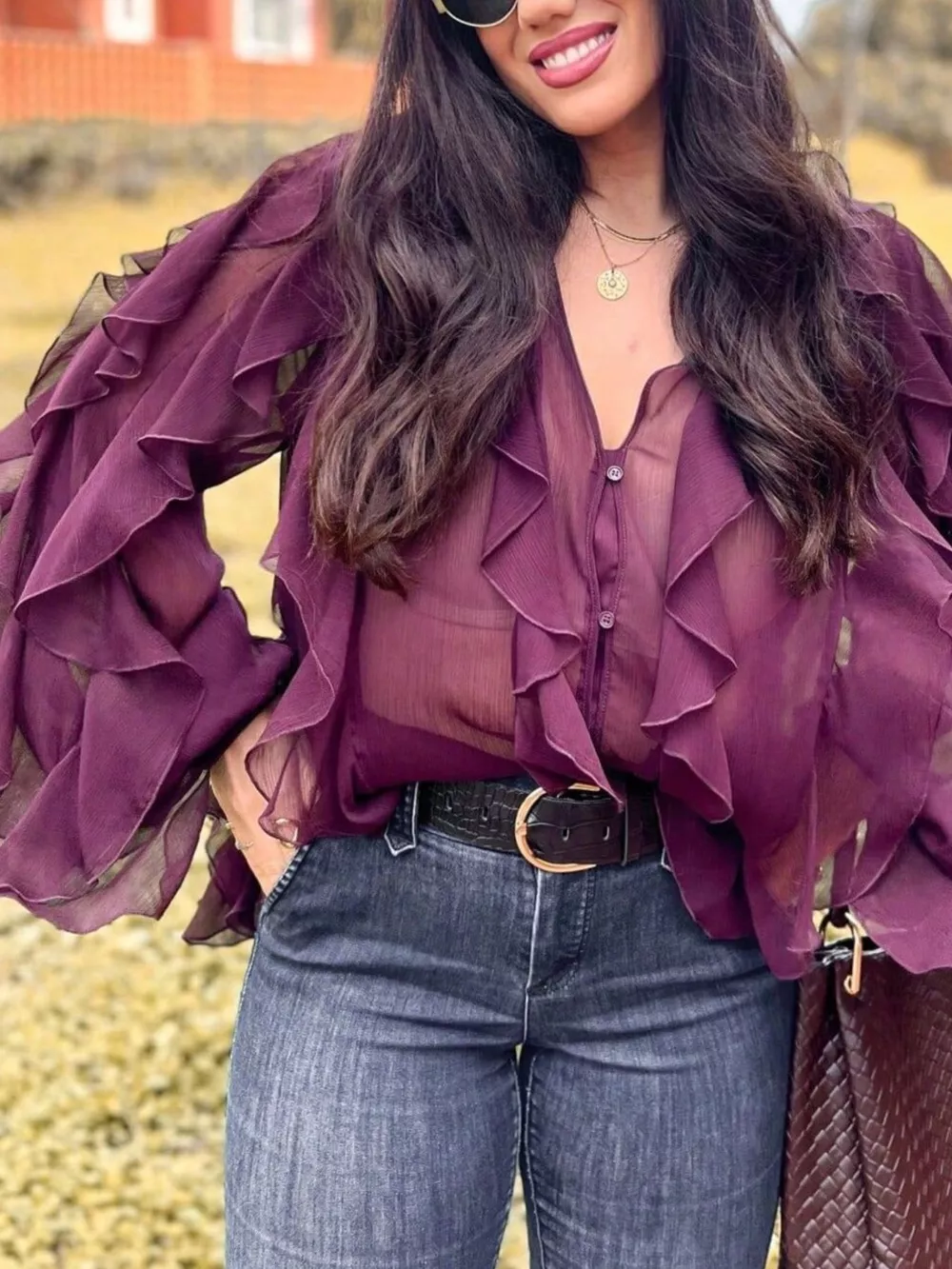 Ruffled Sheer Long Sleeve Blouse, image 21