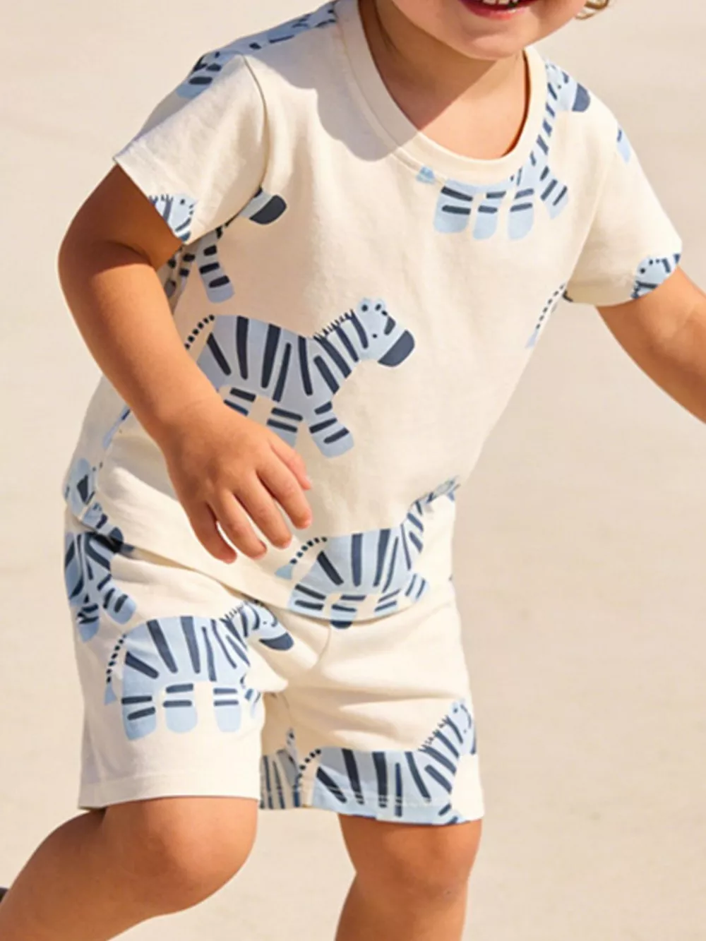Children's Zebra Print Casual Tee and Shorts Set, image 2