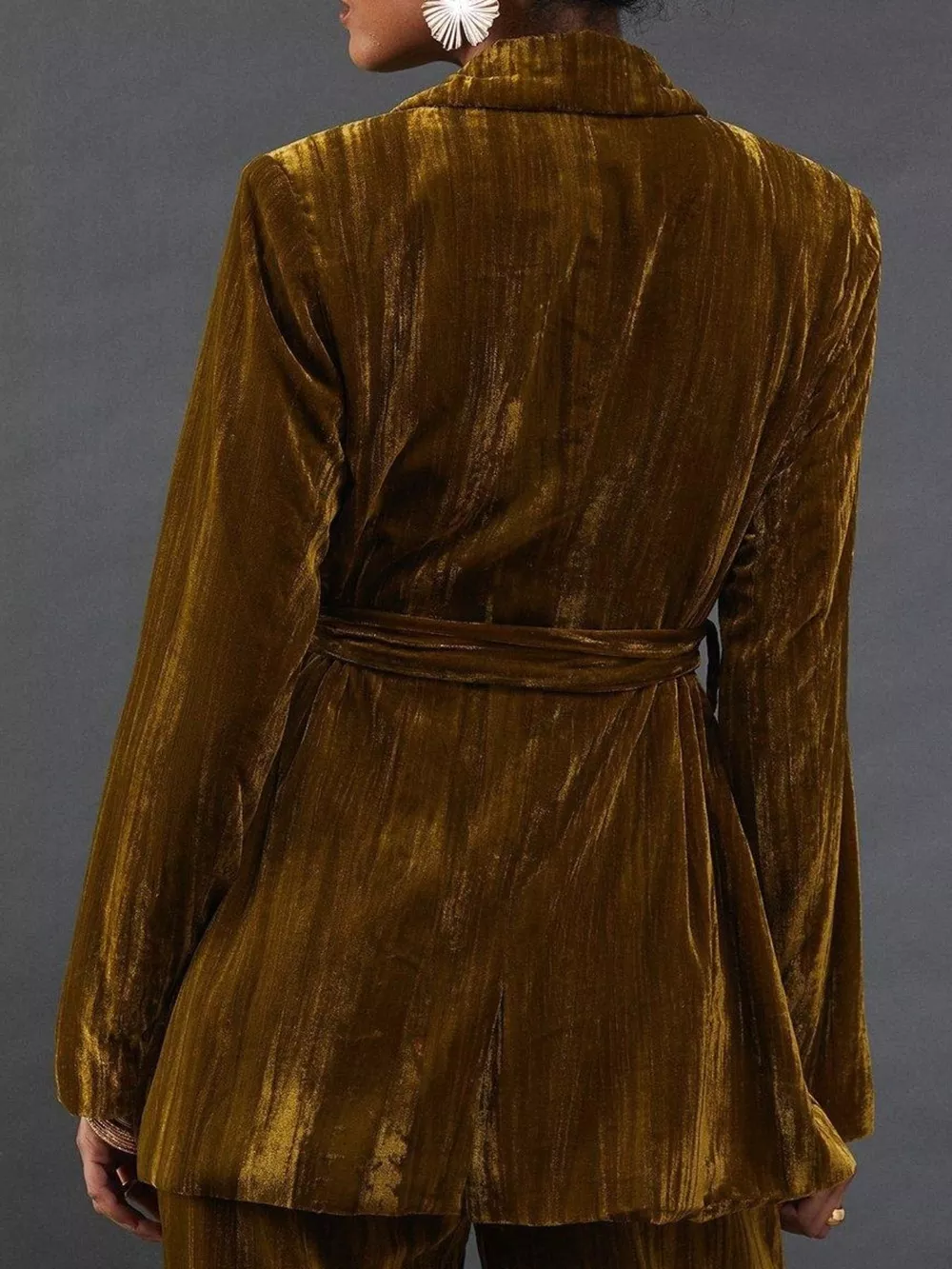 Velvet Lapel Collar Blazer & Pants Set, image 6