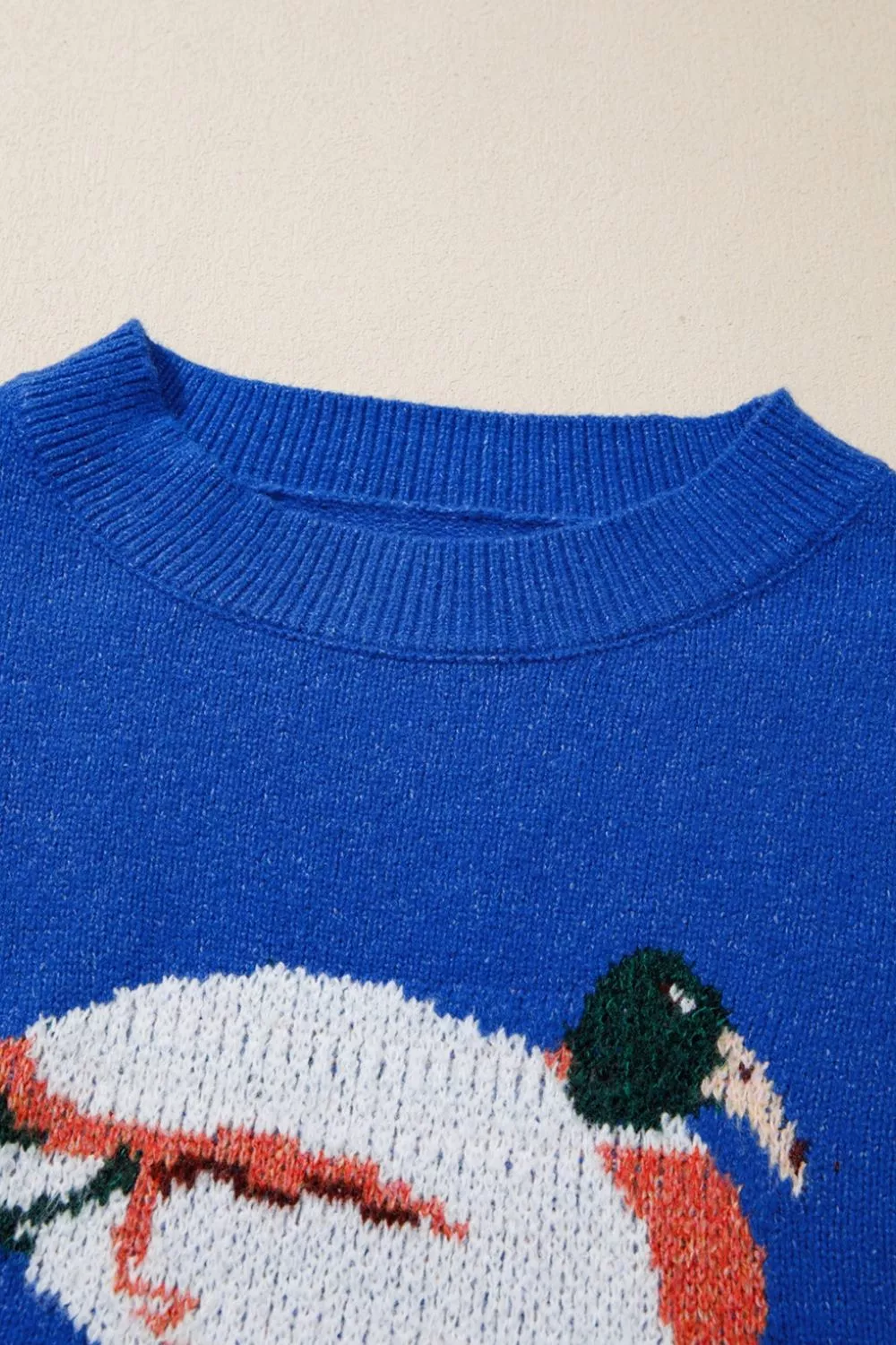 Duck Graphic Drop Shoulder Long Sleeve Sweater, image 11
