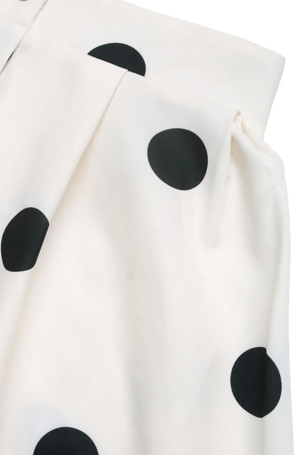 Polka Dot Skirt, image 6