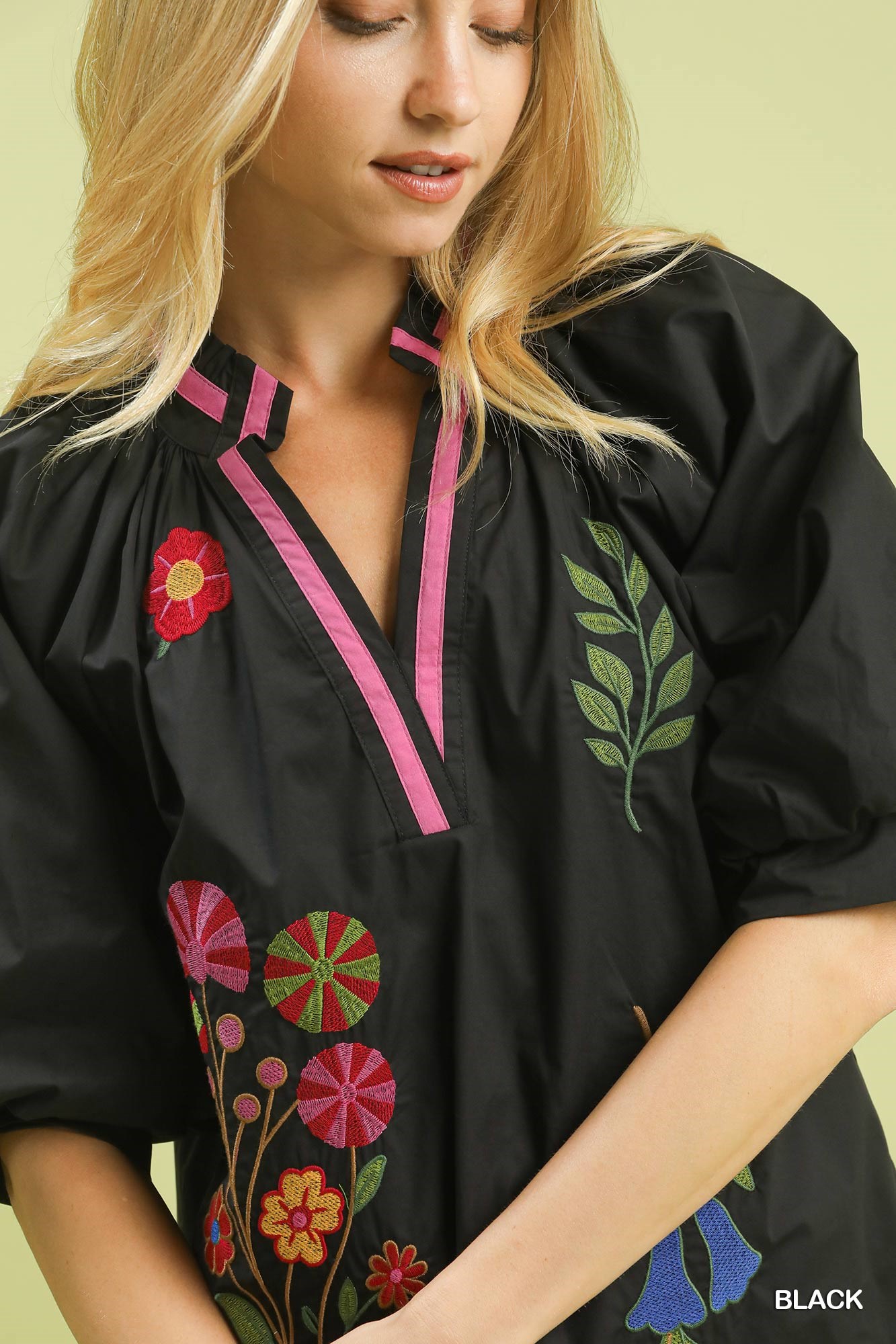 Embroidered Floral V-Neck Blouse, image 6