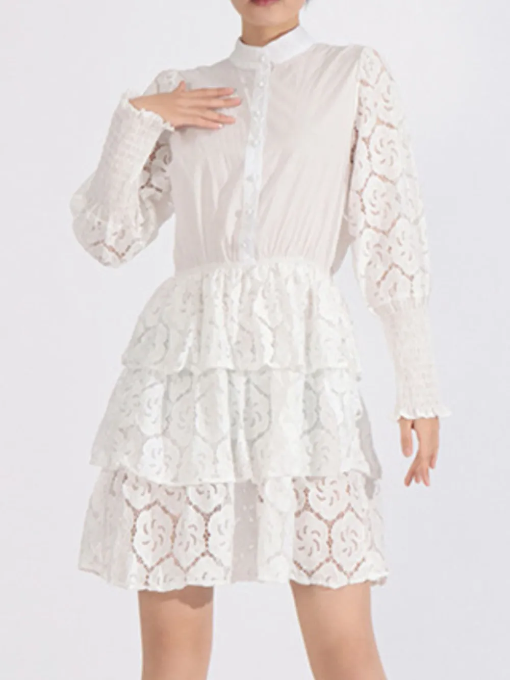 Full Size Lace Layered Long Sleeve Dress Plus Size, image 6