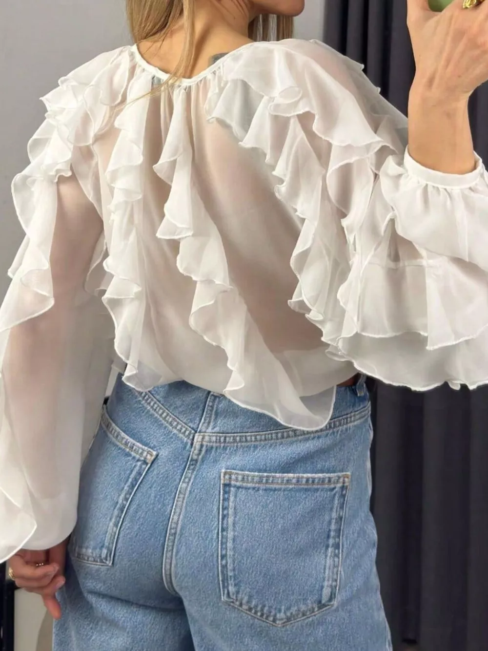 Ruffled Sheer Long Sleeve Blouse, image 24