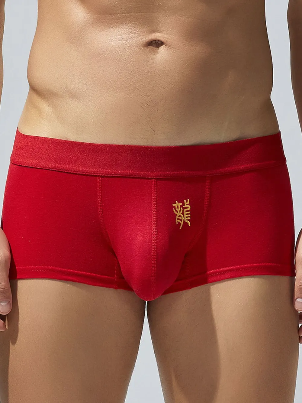Men's Elastic Panty, image 2