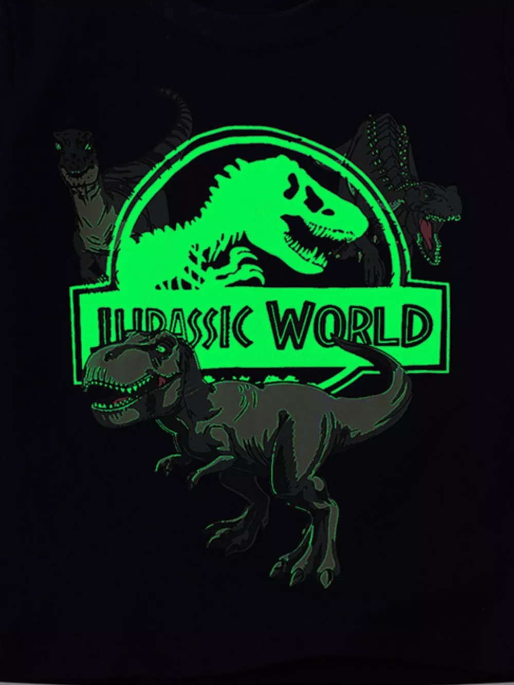 Children's Jurassic World Graphic Short Sleeve T-Shirt, image 3