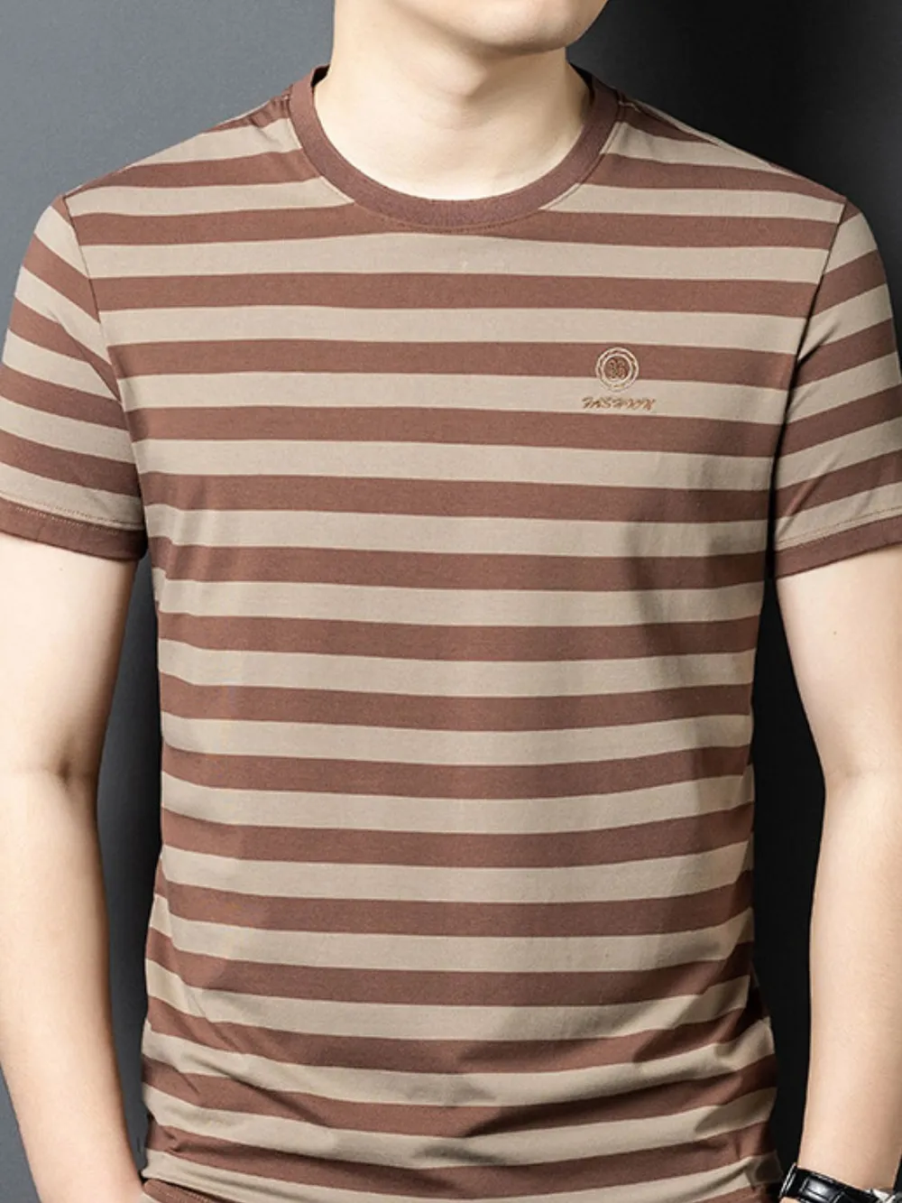 Men's Plus Size Striped Round Neck T-Shirt, image 2