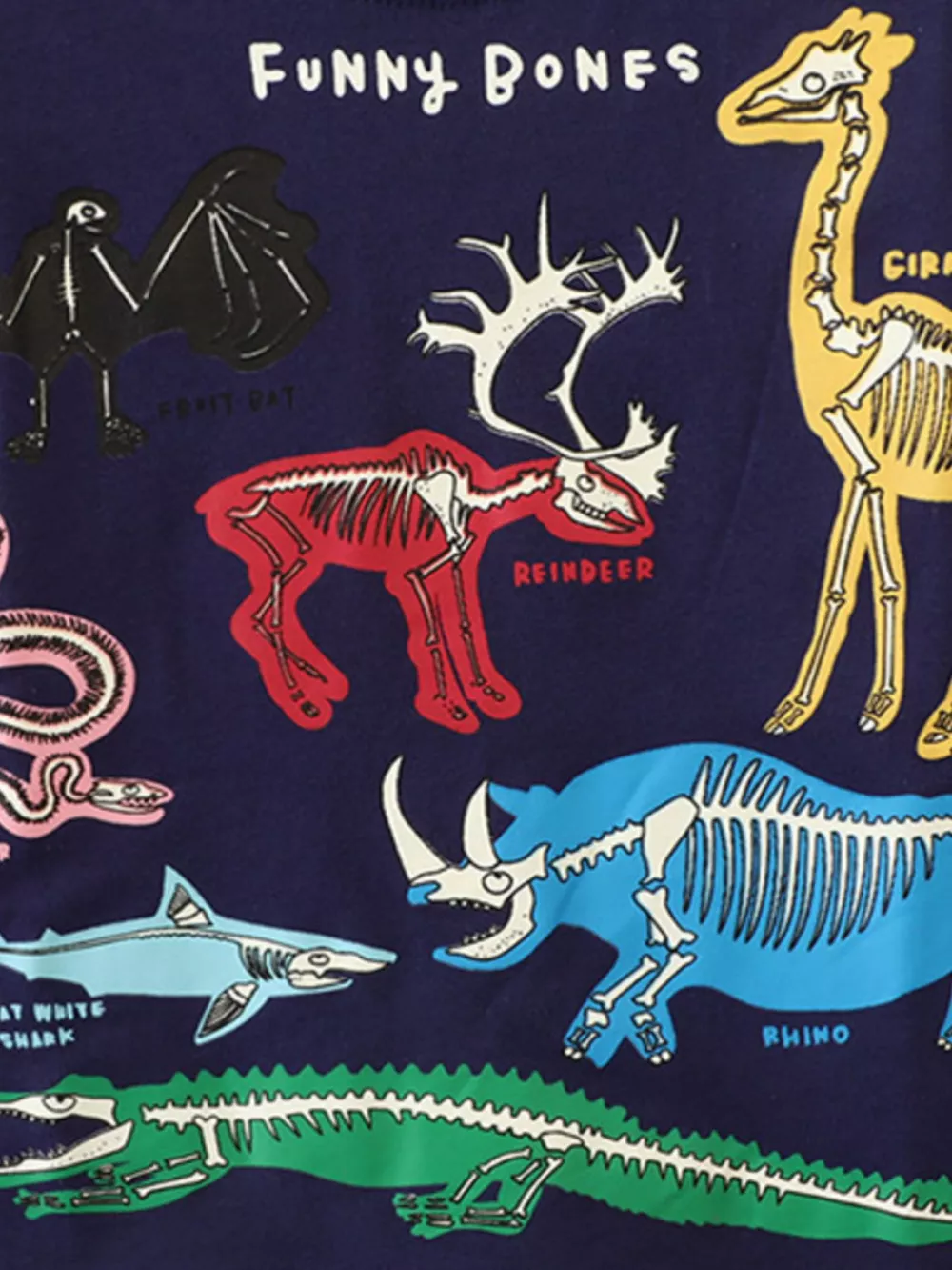 Children's Animal Skeleton Print T-Shirt, image 4