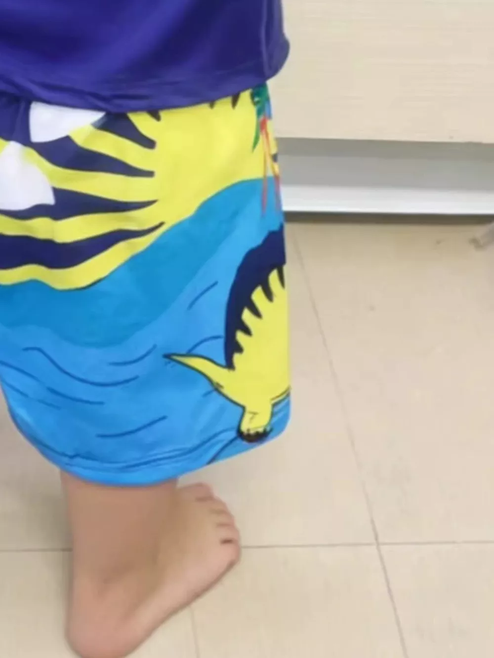 Children's Dinosaur Short Sleeve Tee and Shorts Set, image 5