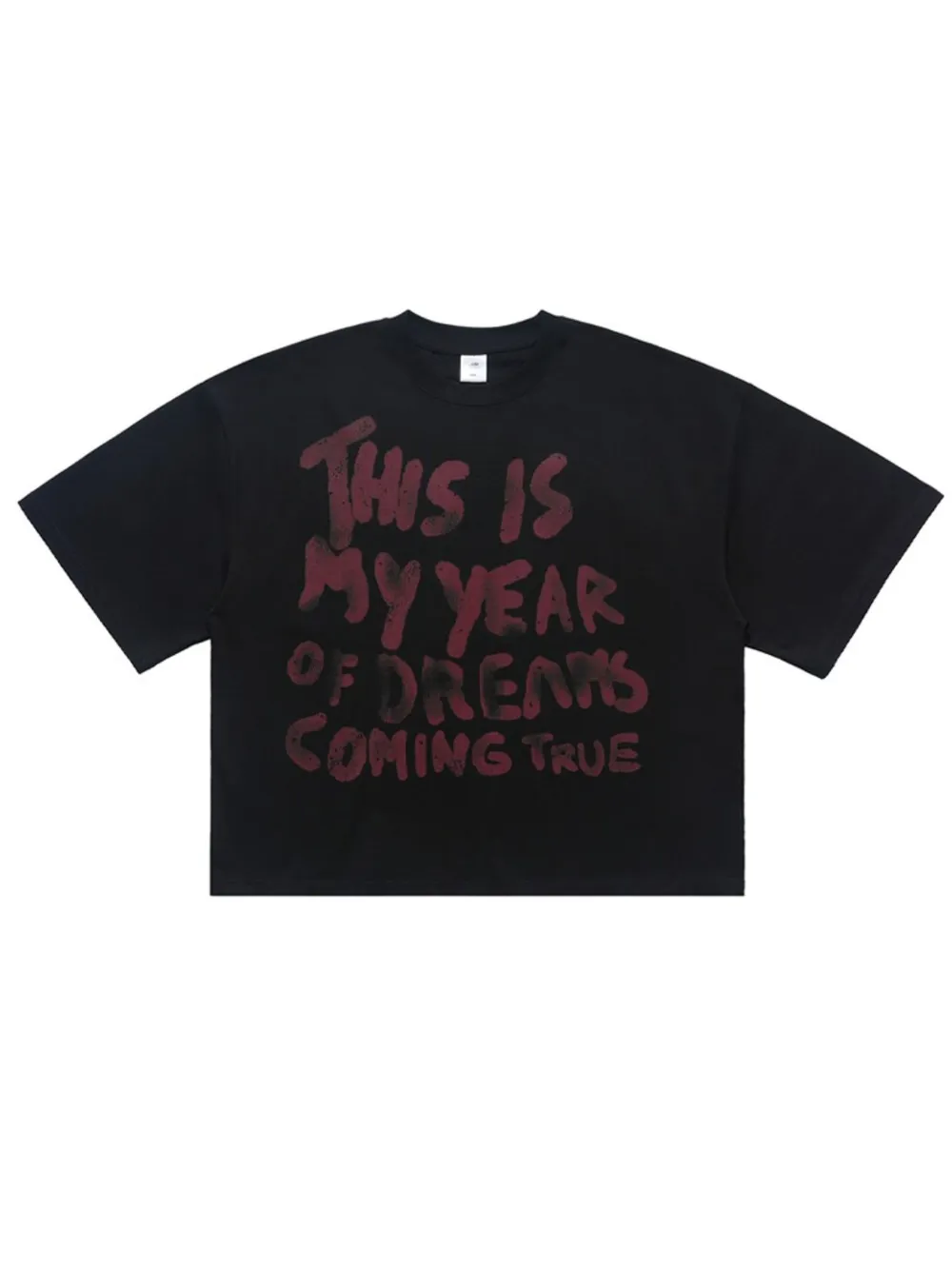 Men's Letter Graphic Short Sleeve T-Shirt
