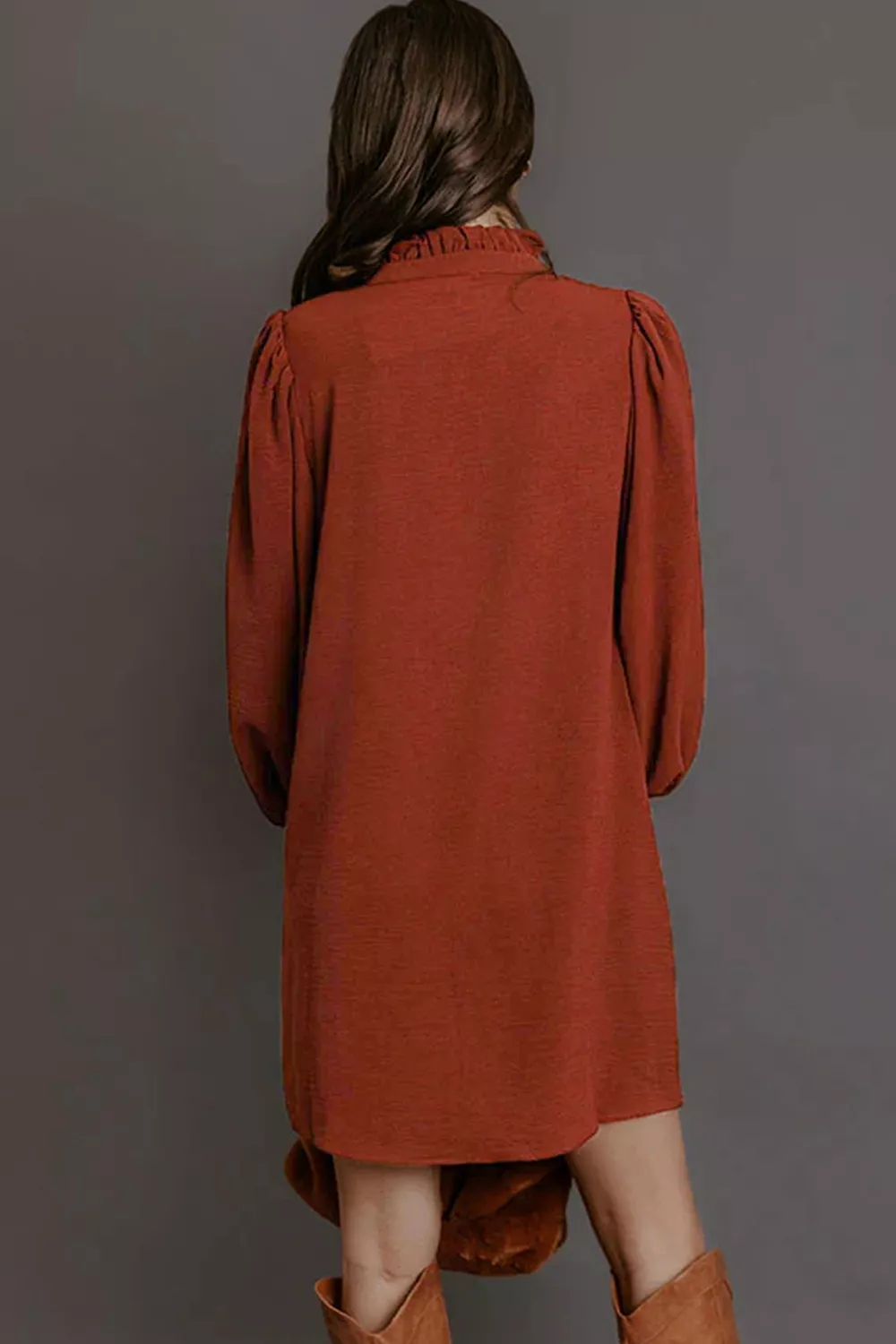 Solid Shift Long Sleeve Short Length Dress, image 2