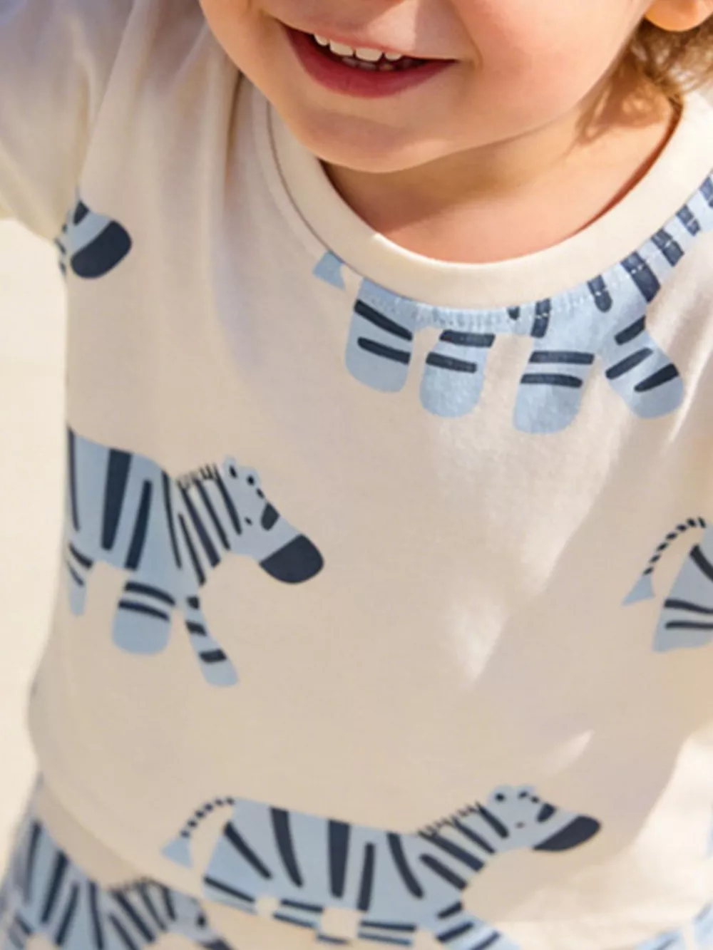 Children's Zebra Print Casual Tee and Shorts Set, image 3