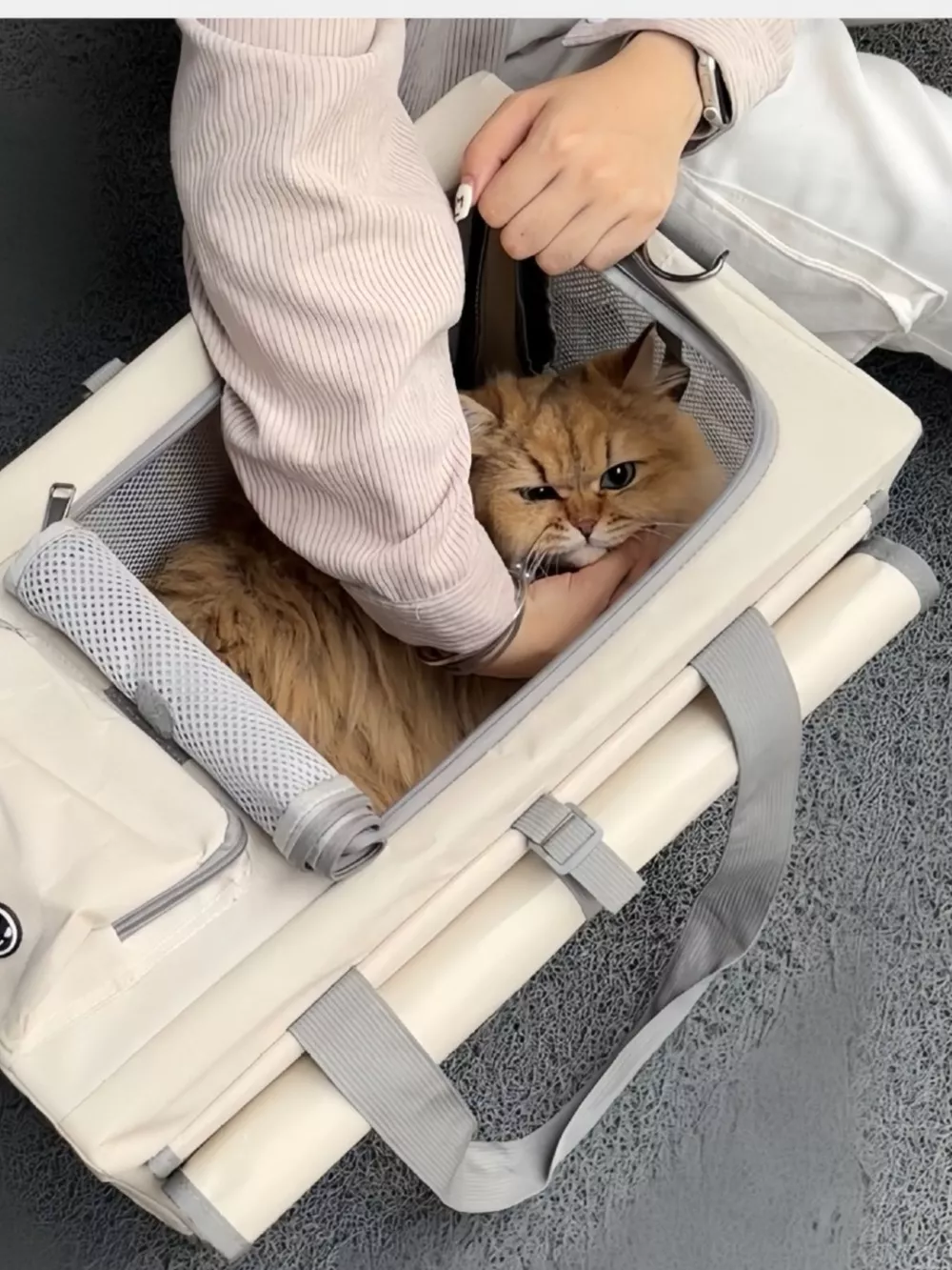 Portable Breathable Pet Carrier Bag, image 4