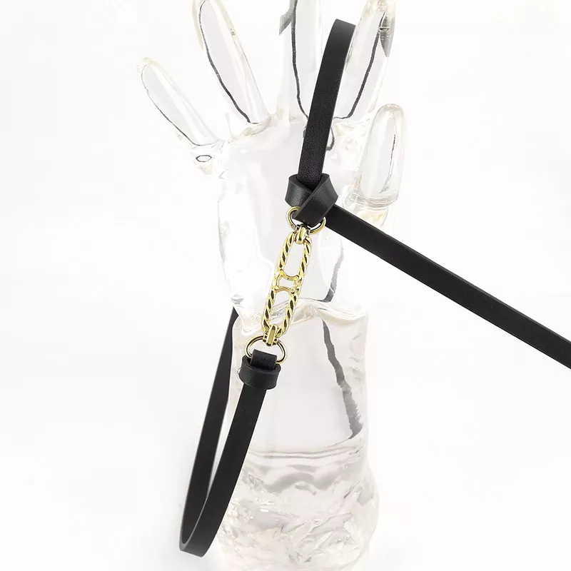 Gold Buckle Skinny Belt, image 2